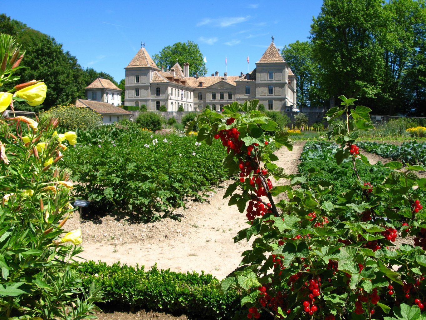 Le plus grand jardin potager historique de Suisse
