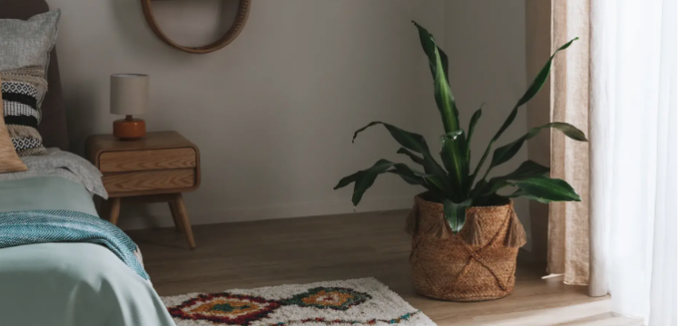 Style bohème : le guide complet pour une déco libre et créative