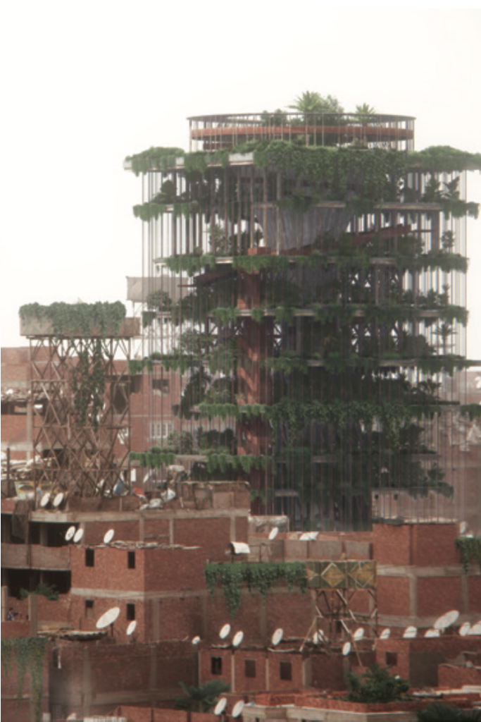 Au <strong>Caire, </strong>une oasis de verdure verticale