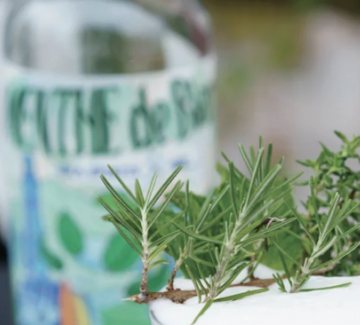 Ura Spirits : L’aventure en édition distillée