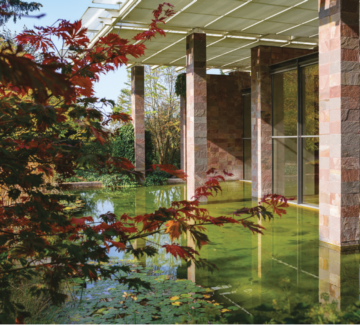 Rouge Patagonie, racines suisses