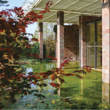 Rouge Patagonie, racines suisses