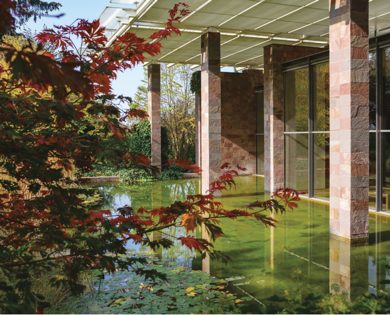 Rouge Patagonie, racines suisses