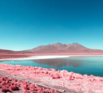 Paolo Pettigiani capture le monde en infrarouge