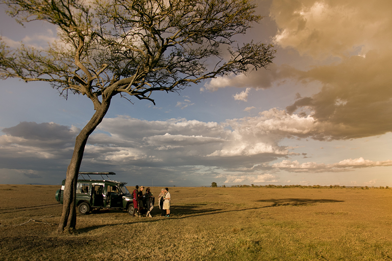 safari-lodge-kebony-entre-au-kenya-a-eagle-view