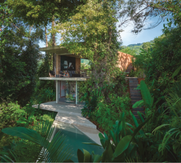 Costa Rica : la maison dans la jungle