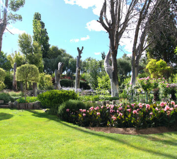 <strong>Les meilleurs conseils pour décorer votre jardin</strong>
