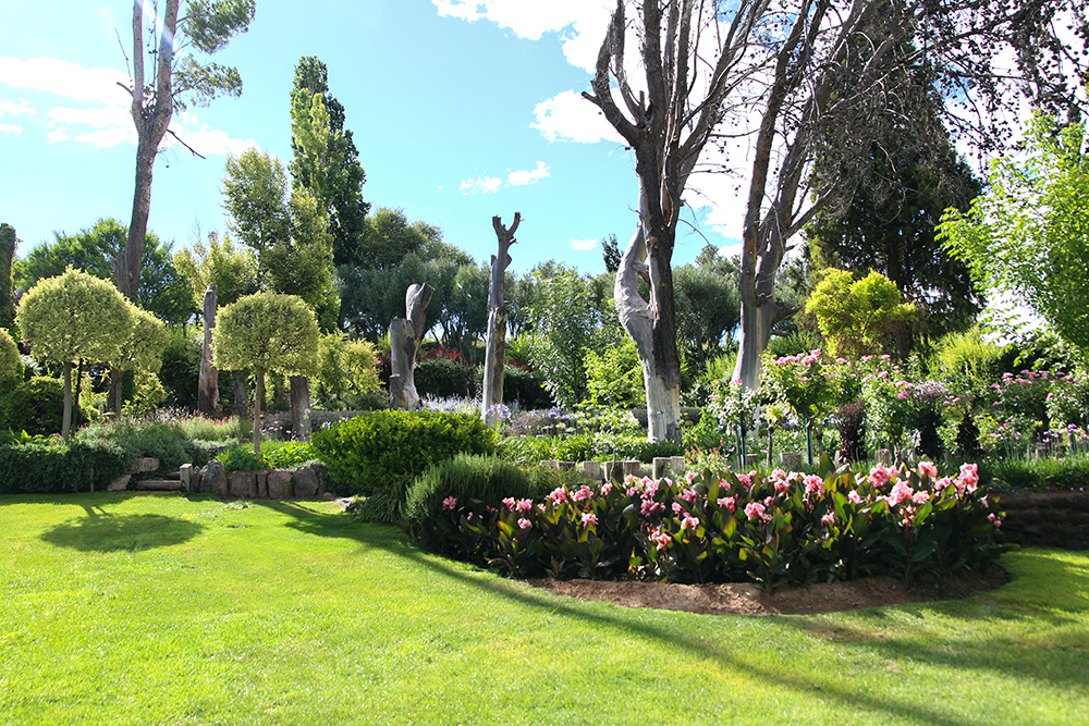 <strong>Les meilleurs conseils pour décorer votre jardin</strong>