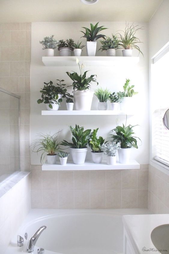 des-plantes-dans-ma-salle-de-bain