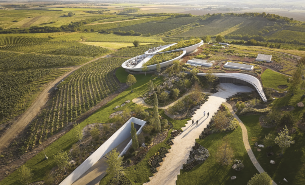 Hongrie : un vin en lévitation