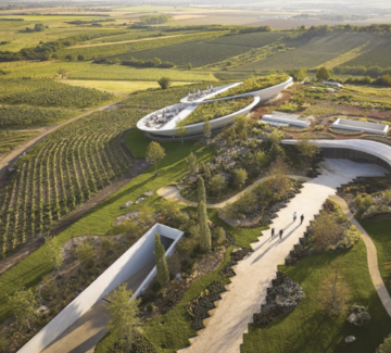 Hongrie : un vin en lévitation