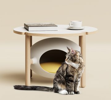 Igloo : quand le meuble se fait refuge pour chats