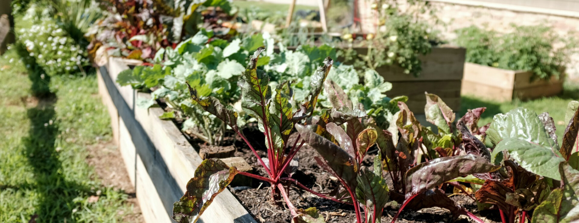 Comment choisir une jardinière ?