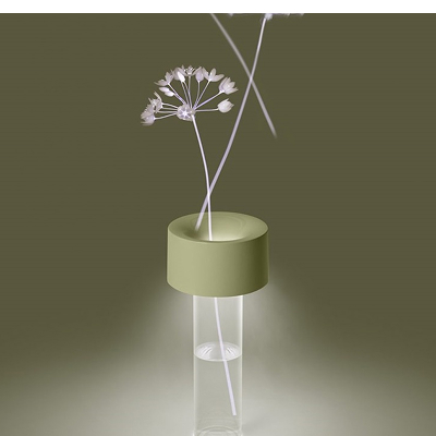 Quand la nature inspire la lumière : Les formes organiques au cœur de votre décoration