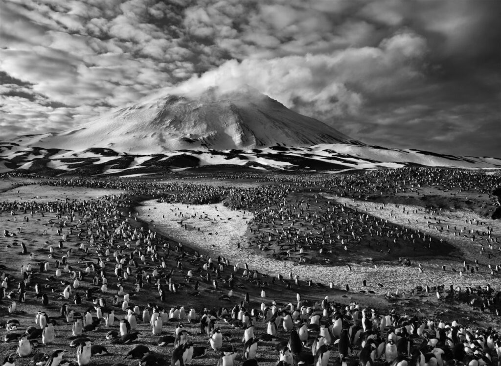 sebastiao-salgado-blessure