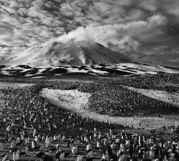 Sebastião Salgado, Blessure